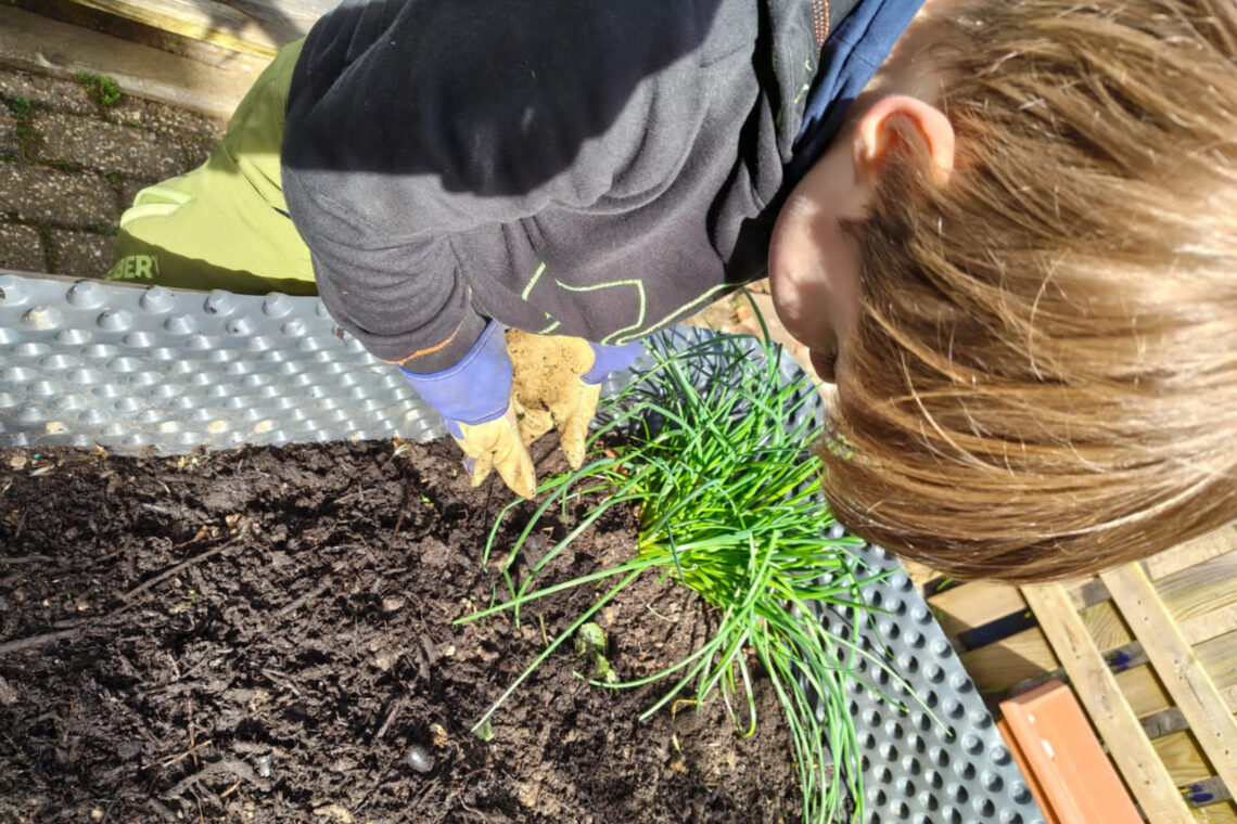 dreieins Kindertagesstätte Aachen - Gartenarbeit