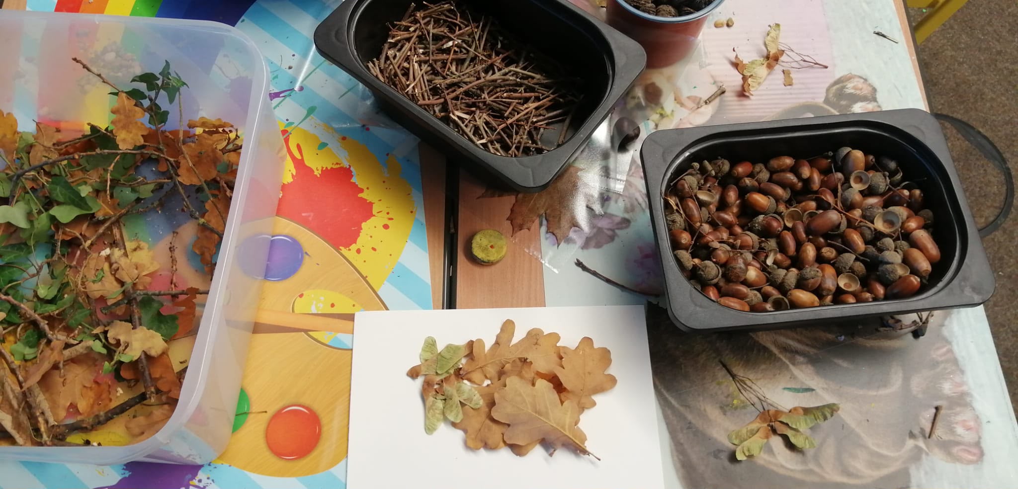 dreieins Grundschule Aachen Naturmaterialien