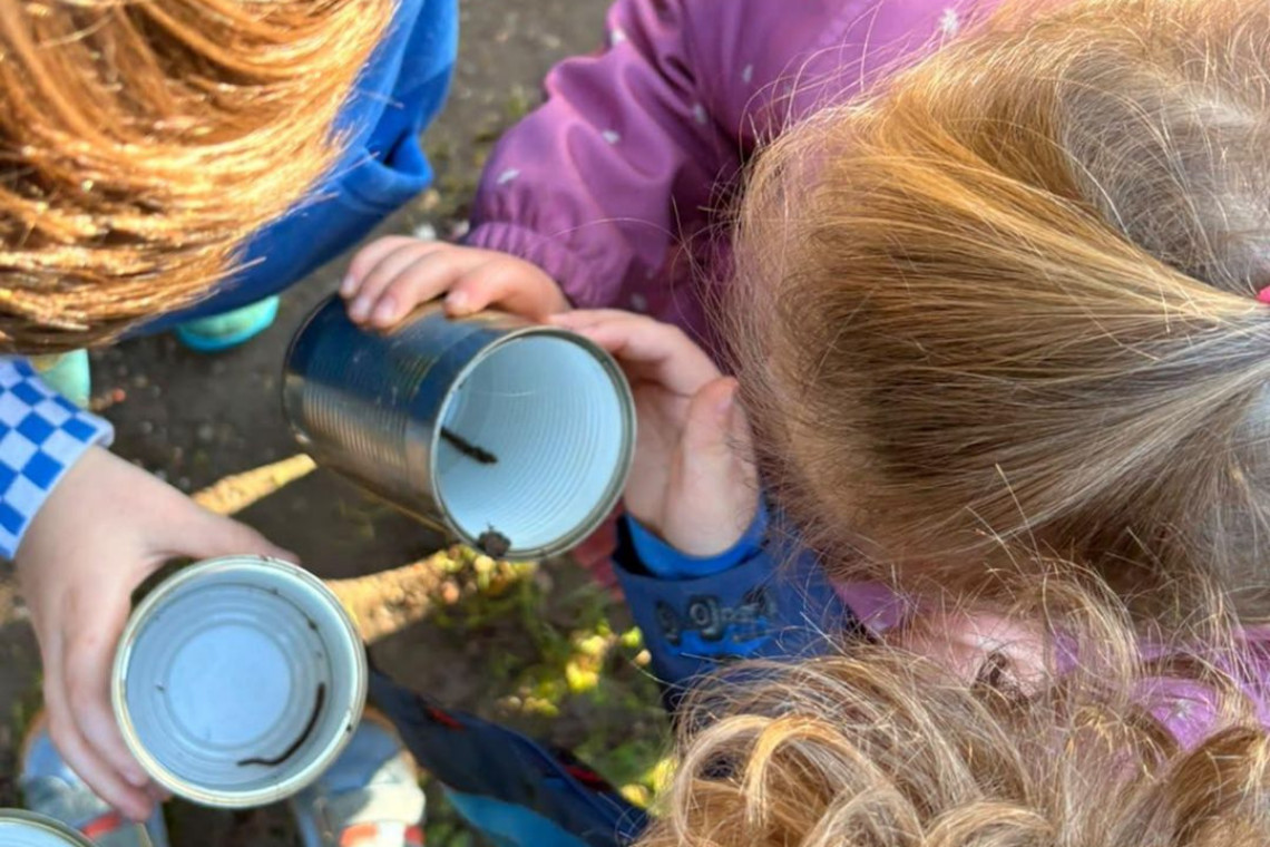 dreieins Kindertagesstätte Aachen - Regenwürmer und ihr Wirken im Boden