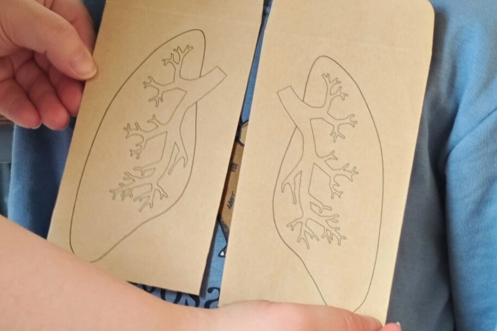 dreieins bilinguale Kindertagesstätte Berlin-Kaulsdorf – Wie funktioniert die Atmung