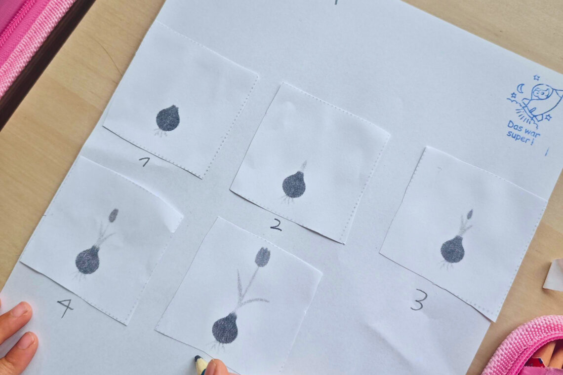 dreieins bilinguale Kindertagesstätte Berlin-Kaulsdorf - Zusammenhänge verstehen