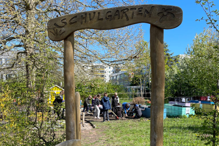 dreieins Grundschule Berlin-Kaulsdorf - Aufräumen im Schulgarten