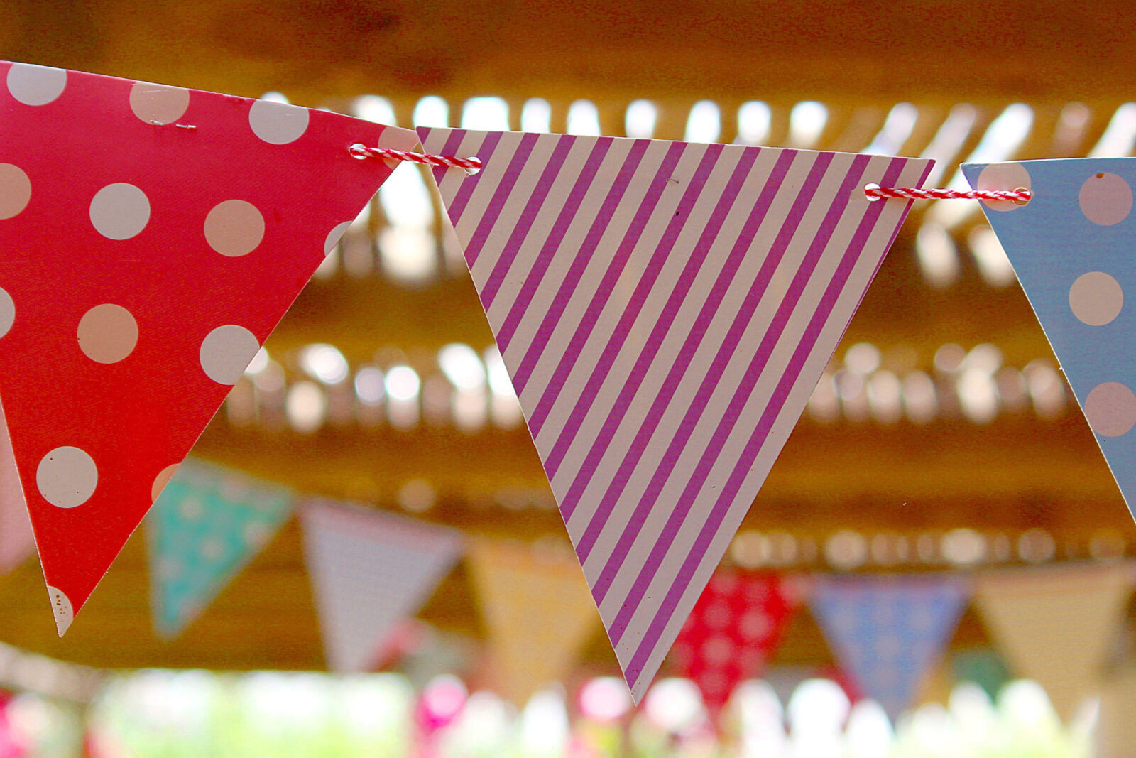 dreieins bilinguale Kindertagesstätte Berlin-Kaulsdorf - 5 Jahre dreieins bilinguale Kindertagesstätte Berlin-Kaulsdorf