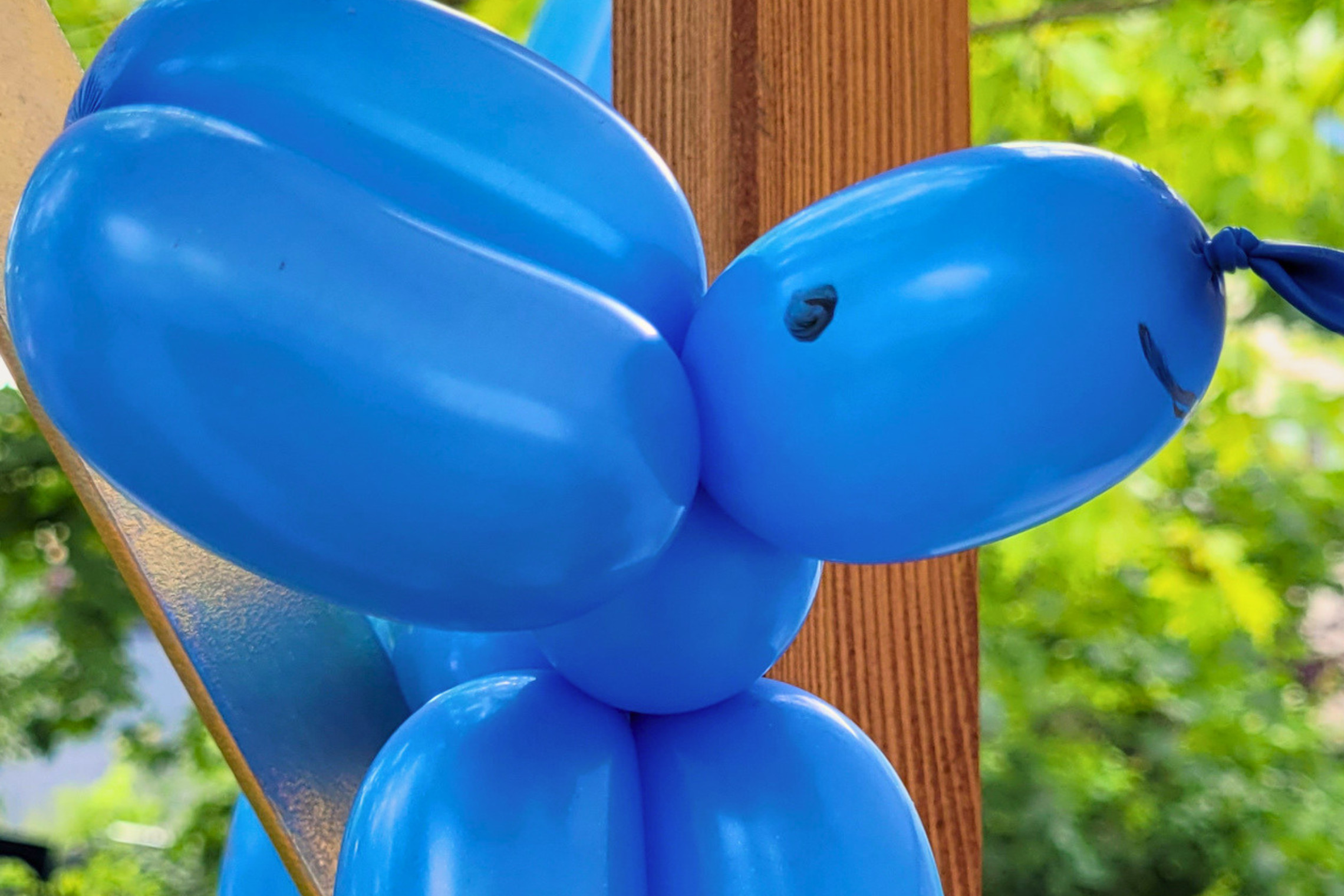 dreieins Grundschule Berlin-Kaulsdorf - Ballontier am Sommerfeststand