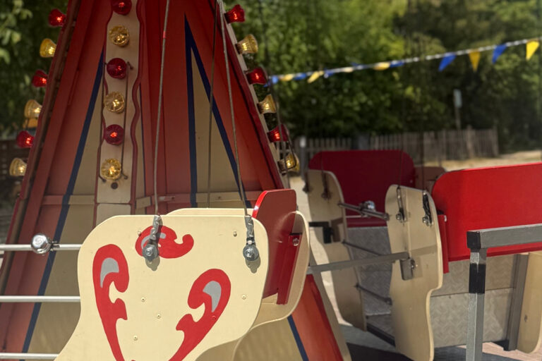 dreieins Kindertagesstätte Berlin-Kaulsdorf - Karussell auf dem Sommerfest