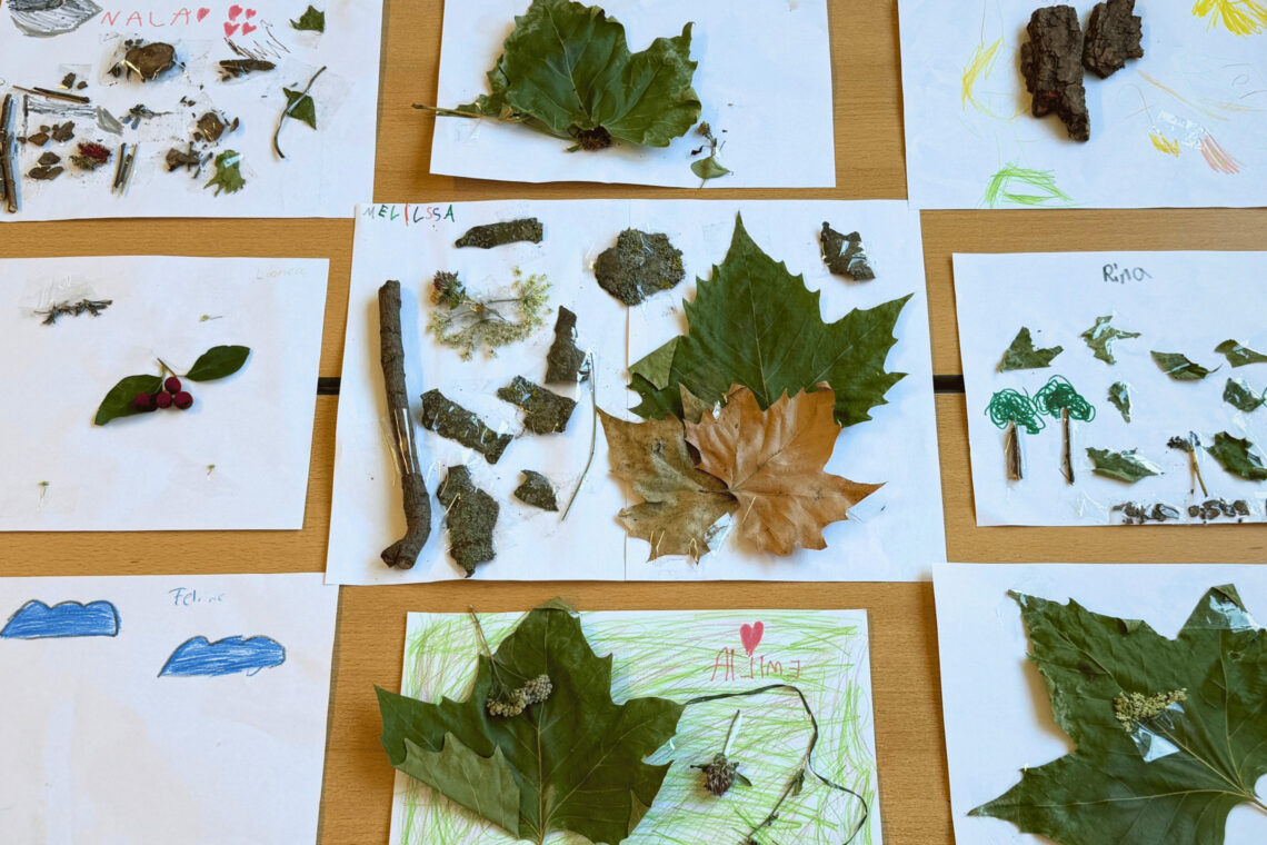 dreieins Grundschule Berlin-Kaulsdorf - Die Natur als Schatzkiste dreieins Grundschule Berlin-Kaulsdorf - Die Natur als Schatzkiste