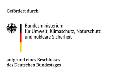 Klimaanpassungskonzept der dreieins Grundschule Berlin-Pankow - Gefördert durch das Bundesministerium für Umwelt, Klimaschutz, Naturschutz und nukleare Sicherheit: Abgebildet ist das Logo des BMUKN