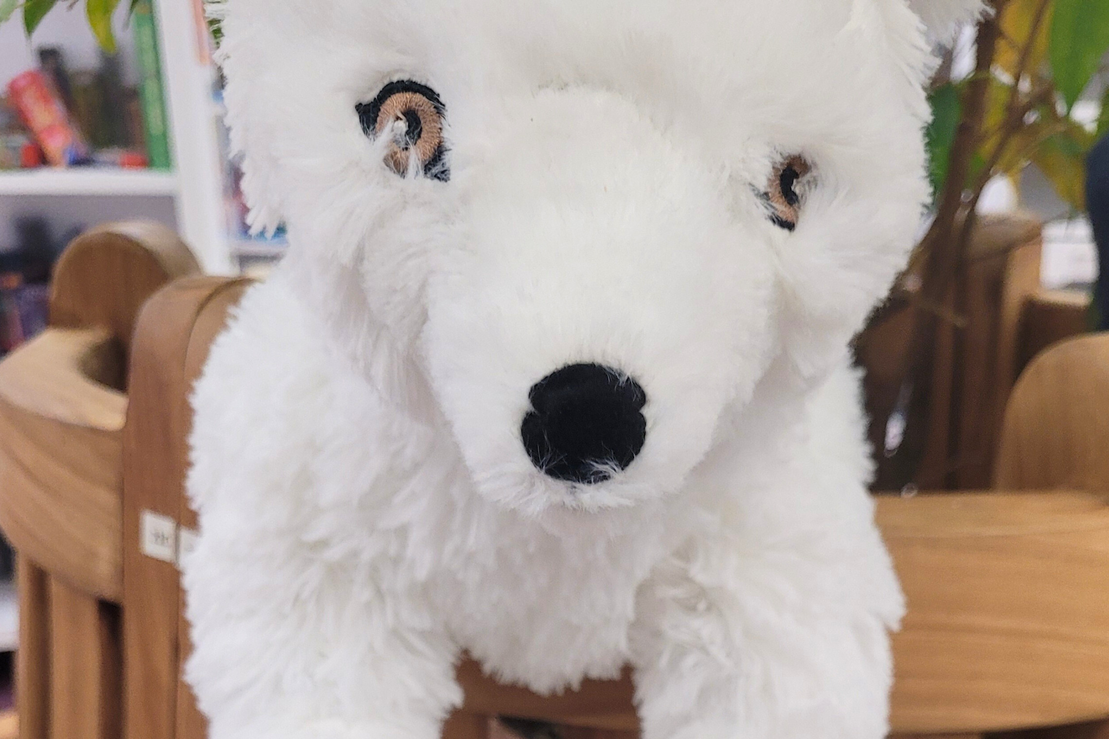 dreieins Kindertagesstätte Berlin-Prenzlauer Berg - Auf den Spuren des Polarfuchses