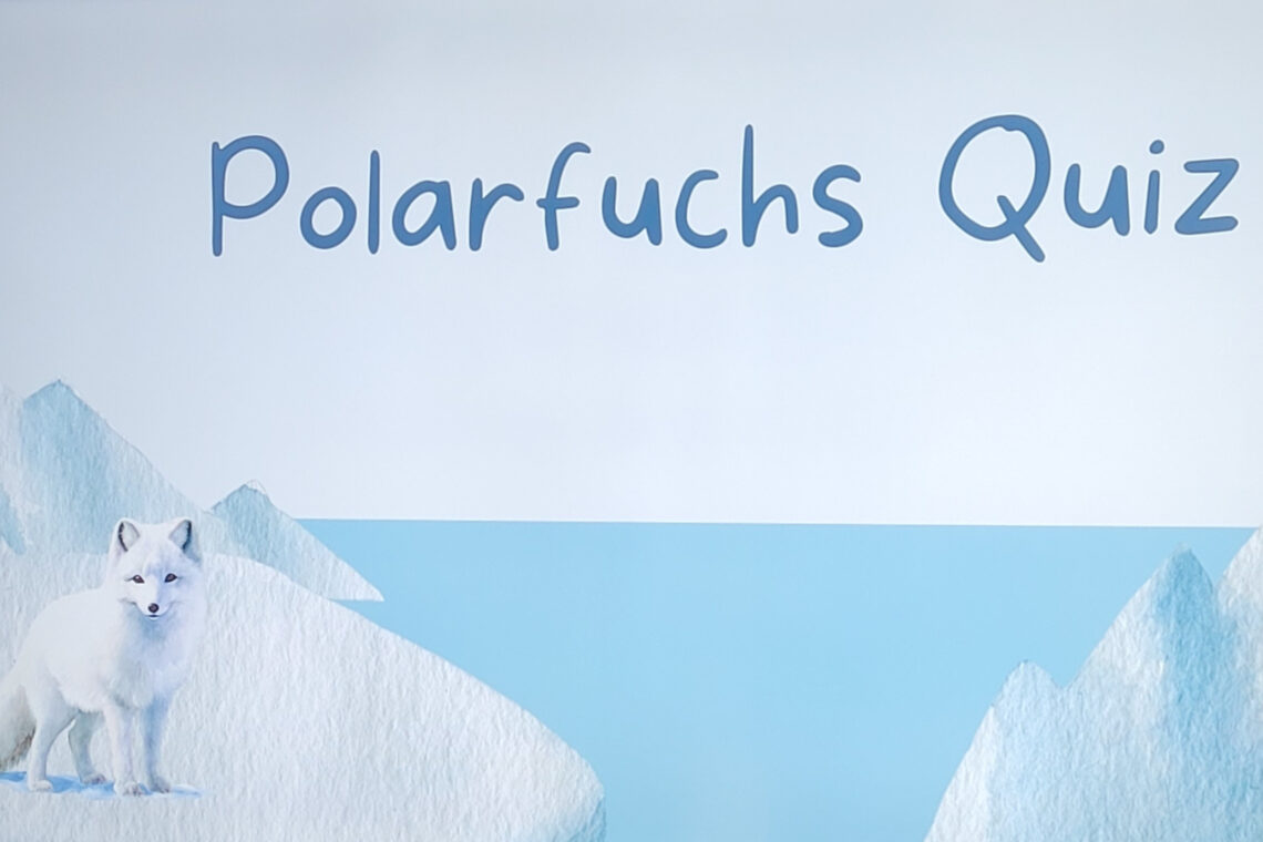 dreieins Kindertagesstätte Berlin-Prenzlauer Berg - Leben im Eis – Der Polarfuchs