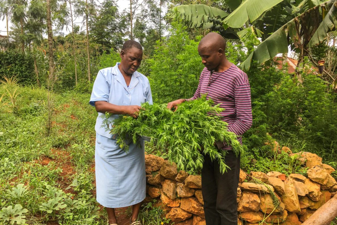 dreieins Grundschule Berlin-Pankow - Nyota e.V. Projekte und Einsatz in Kenia