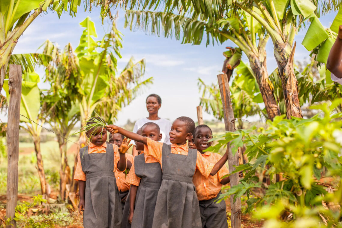 dreieins Grundschule Berlin-Pankow - Nyota e.V. Unterstützung und Engagement
