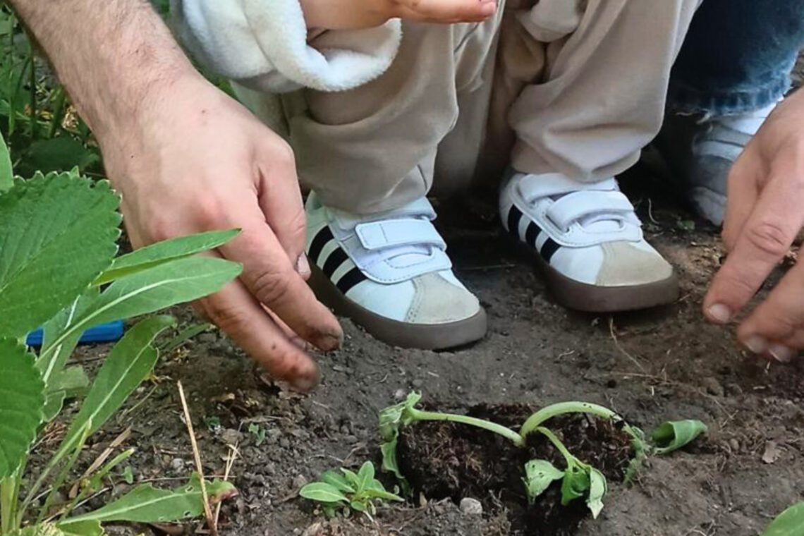 dreieins Kindertagesstätte Berlin-Prenzlauer Berg - Aktive Mitgestaltung des Gartens durch die Kinder dreieins Kindertagesstätte Berlin-Prenzlauer Berg - Aktive Mitgestaltung des Gartens durch die Kinder