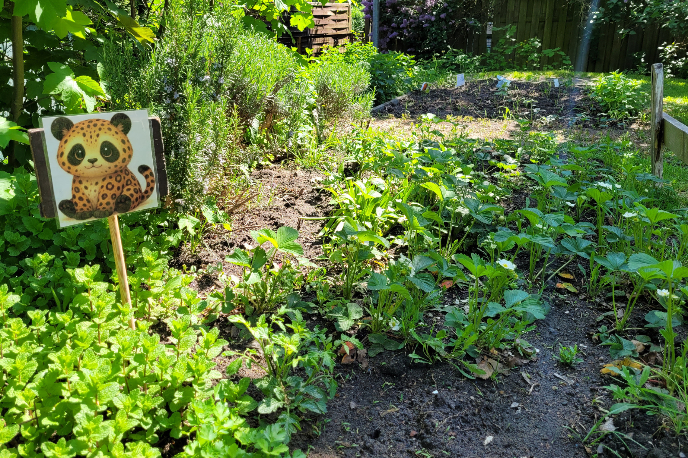 dreieins Kindertagesstätte Berlin-Prenzlauer Berg - Das Gartenjahr beginnt