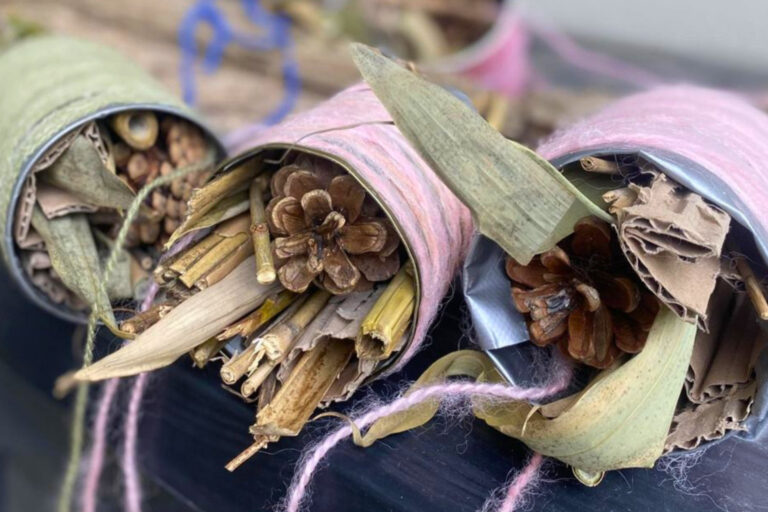 dreieins Kindertagesstätte Berlin-Prenzlauer Berg - Ein Zuhause für Insekten