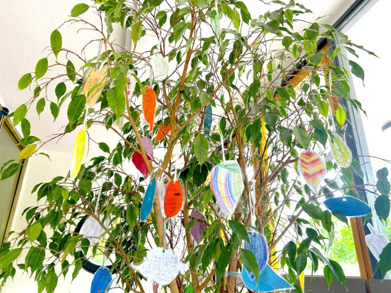dreieins Traumzauberbaum