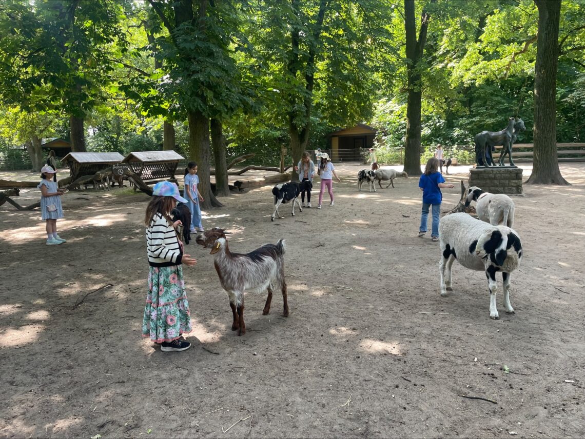 dreieins Grundschule Pankow Wandertag - Schüler im Streichelzoo im Tierpark Berlin dreieins Grundschule Pankow Wandertag - Schüler im Streichelzoo im Tierpark Berlin