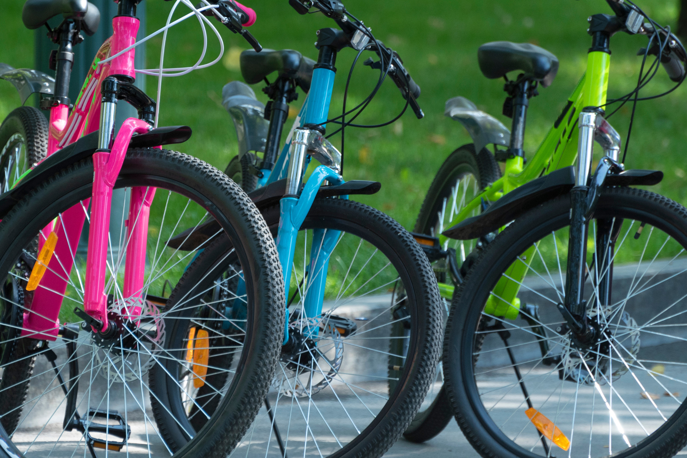 dreieins Grundschulen Berlin - Stadtradeln 2026 in Berlin