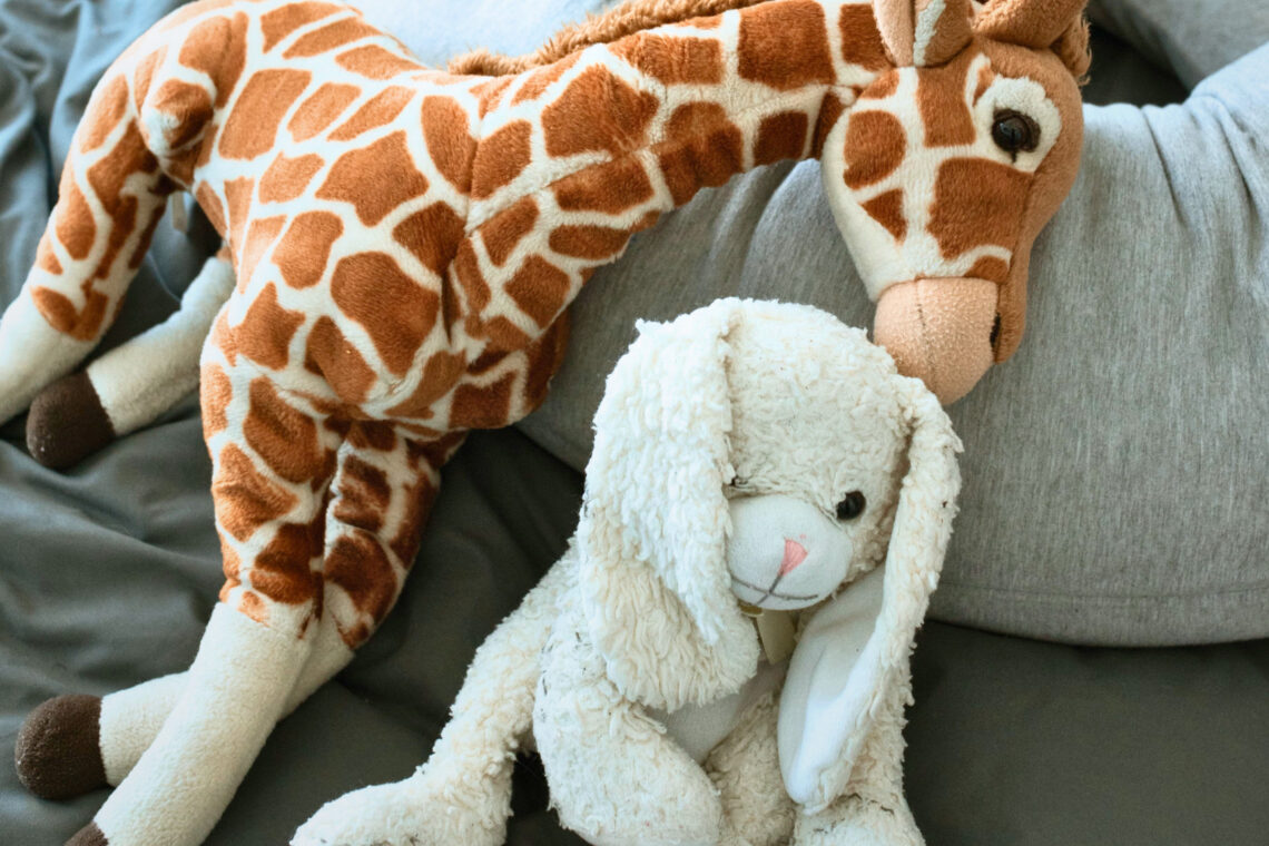 dreieins Kindertagesstätte Berlin-Prenzlauer Berg - Kuscheltiere zur Übernachtungsparty
