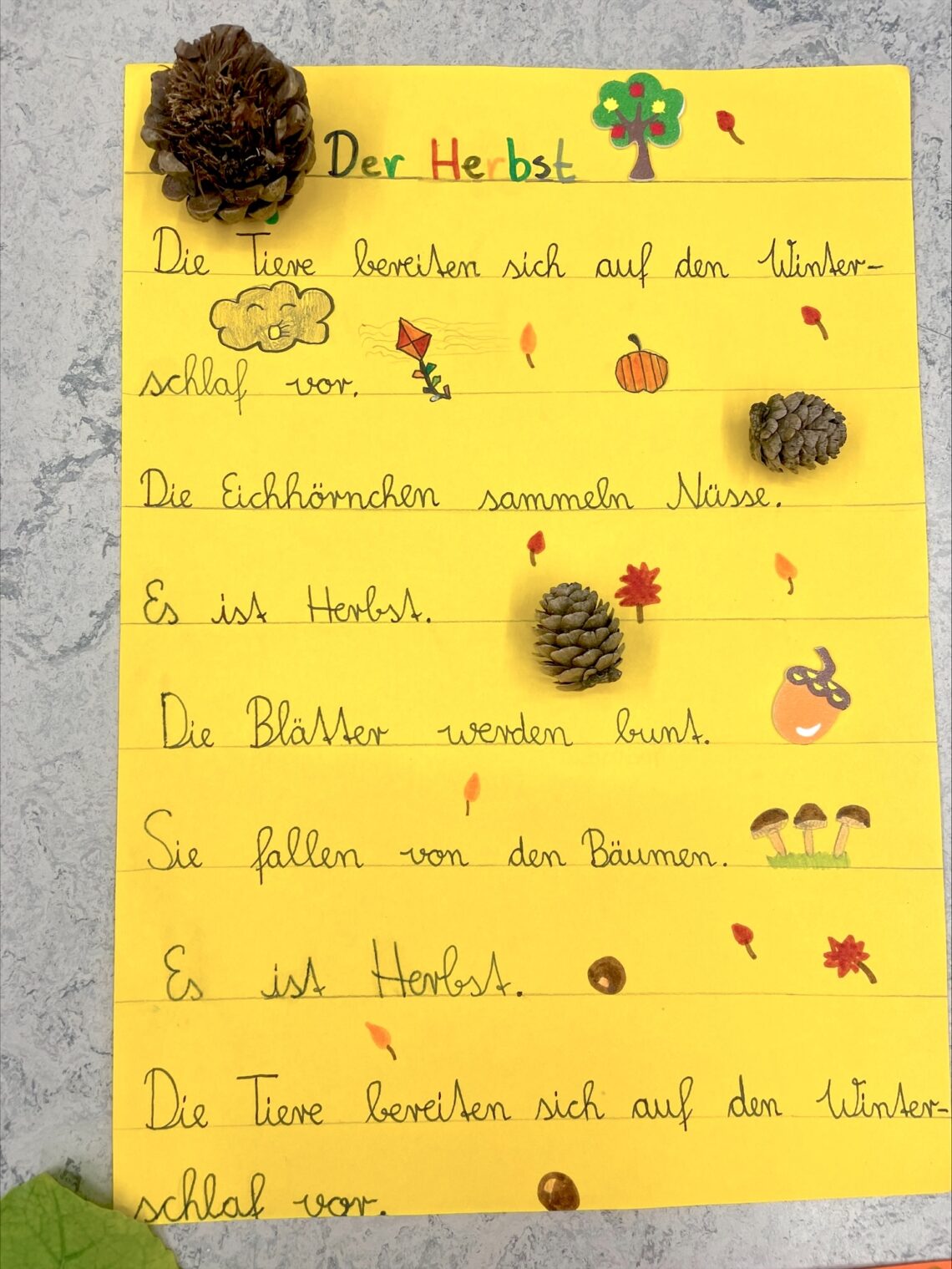 dreieins Grundschule Berlin-Pankow - Herbstrondell dreieins Grundschule Berlin-Pankow - Herbstrondell