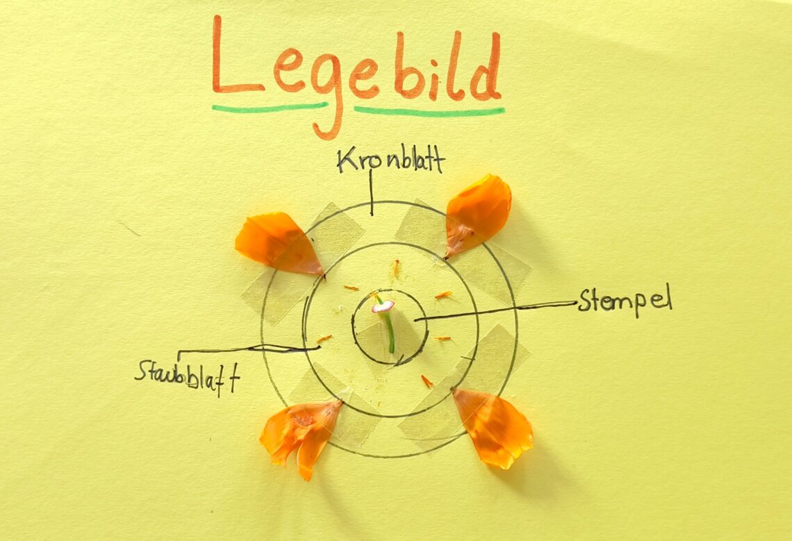 dreieins Grundschule Berlin-Pankow - Naturwissenschaft und Kunst kombiniert in einem Legebild