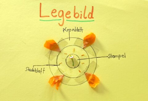 dreieins Grundschule Pankow - Naturwissenschaft und Kunst Legebild 2